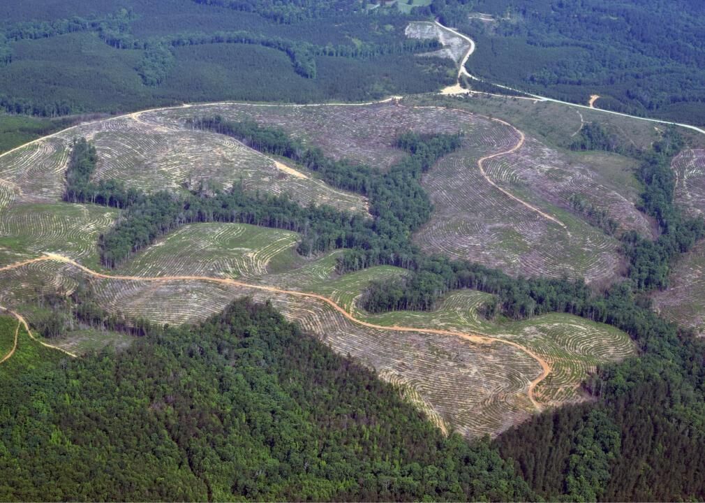 Alabama